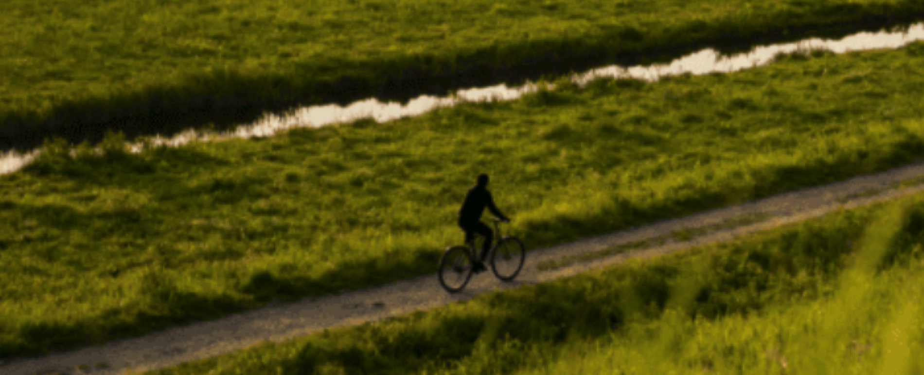 Bike Action