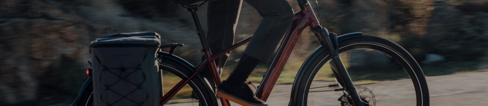 Bike Action